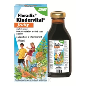 SALUS Floradix Kindervital fruity