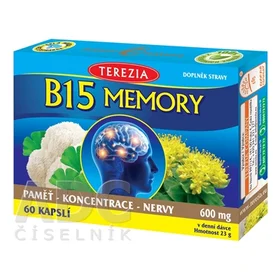 TEREZIA B15 MEMORY